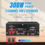AK45 300W Bluetooth Home Stereo Amplifier System