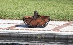 Portable 26" Copper-Look Wood Burning Fire Pit