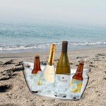 2 Pack Acrylic Ice Buckets for Parties