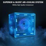 Mini Beverage Cooler for Home Bar – 62 Can