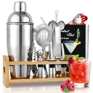 15-Piece Cocktail Shaker Set with Stand & Recipes