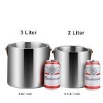 Stylish Stainless Steel Insulated Ice Bucket Set
