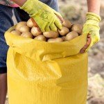 12PC Potato Sack Race Bags for Family Fun