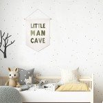 Little Man Cave Pennant Flag Wall Art