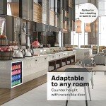 Honeywell Mini Beverage Fridge with Glass Door