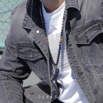 Wolf Tooth Obsidian and Tiger Eye Necklace