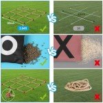 Giant Outdoor Tic Tac Toe & Bean Bag Toss