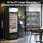 BODEGACOOLER Beverage Fridge for Your Mancave