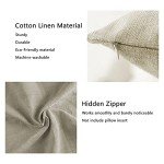 Old Fashioned Whisky Quote Pillow Cover - Red