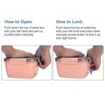 Stylish 2-Pack Salad Bowl Containers (Pink)