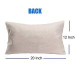 Fukeen Cotton Linen Waist Lumbar Throw Pillow Cases Wine Group Therapy Words Pillow Cover Home Bar Decor Beer Lover Gifts 12”x20” Rectangle Cushion Cover for Bedding Chair (Practiced Here Drink)