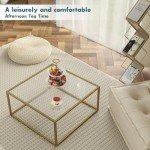 SAYGOER Gold Coffee Table Glass Modern Coffee Tables for Small Space Simple Square Center Table for Living Room Home Office 26.7 x 26.7 x 15.7, Easy Assembly