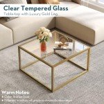 SAYGOER Gold Coffee Table Glass Modern Coffee Tables for Small Space Simple Square Center Table for Living Room Home Office 26.7 x 26.7 x 15.7, Easy Assembly