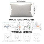 Smooffly Throw Pillow Cover Funny Red Dinosaur with Letter If You're Happy You Know It Throw Pillow Case Home Decorative for Men/Women/Boys/Girls Living Room Bedroom Sofa Chair 12X20 Inch Pillowcase