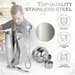 Mixology Bartender Kit Cocktail Shaker Set: 22-Piece, Bar Tools with Rotating Stand, Bar Set with All Essential Accessory Tools: Martini Shaker, Jigger, Strainer, Mixer Spoon, Muddler Ect, (Silver)