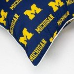 College Covers Pair Decorative Pillow, 2 Count (Pack of 1), Michigan Wolverines