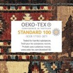 Home Dynamix Buffalo Bear Rustic Area Rug, Brown/Red, 5'2"x7'2", Rectangular