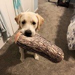 HYSEAS Decorative Round Throw Pillow, 3D Digital Print Comfortable Kids Funny Cute Wood Log Pillow Cylinder Floor Cushion for Home, Couch, Sofa, Bedroom, Living Room Decor, Trunk