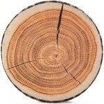 HYSEAS Decorative Round Throw Pillow, 3D Digital Print Comfortable Kids Funny Cute Wood Log Pillow Circle Seating Floor Cushion for Home, Couch, Sofa, Bedroom, Living Room Decor, Stump