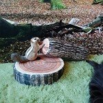 HYSEAS Decorative Round Throw Pillow, 3D Digital Print Comfortable Kids Funny Cute Wood Log Pillow Circle Seating Floor Cushion for Home, Couch, Sofa, Bedroom, Living Room Decor, Stump