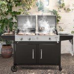 Royal Gourmet Dual Fuel BBQ Grill Combo