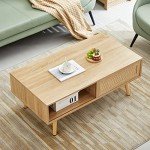 Mid-Century Modern Coffee Table with Storage