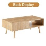 Mid-Century Modern Coffee Table with Storage