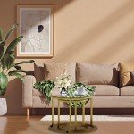 Gold Nesting Coffee Table Set - 2 Piece