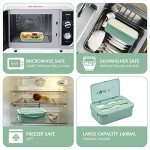 Mancave Bento Box - 1100 ML On-the-Go Meal