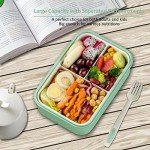 Mancave Bento Box - 1100 ML On-the-Go Meal