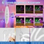 5 O'Clock Somewhere Neon Sign for Man Cave