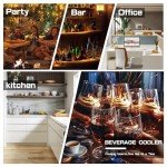 Mini Fridge for Drinks: 4.5 Cu.ft Cooler