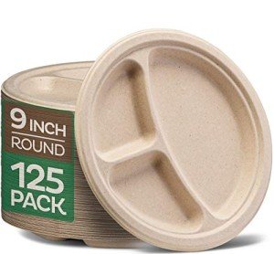 Eco-Friendly 3 Compartments Disposable Paper Plates - 125 Pack