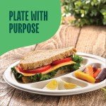 Eco-Friendly 3 Compartments Disposable Paper Plates - 125 Pack