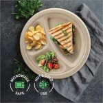 Eco-Friendly 3 Compartments Disposable Paper Plates - 125 Pack