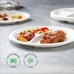 Eco-Friendly Compostable Paper Plates - 125-Pack