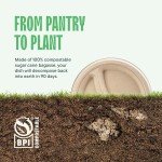 Eco-Friendly 3 Compartments Disposable Paper Plates - 125 Pack