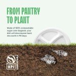 Eco-Friendly Compostable Paper Plates - 125-Pack