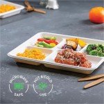 Compostable 10-Inch Disposable Paper Plates - 125 Pack