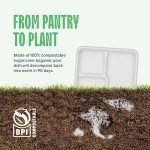 Compostable 10-Inch Disposable Paper Plates - 125 Pack