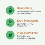 Eco-Friendly 3-Compartment Disposable Paper Plates - 125 Pack