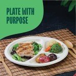 Eco-Friendly 3-Compartment Disposable Paper Plates - 125 Pack