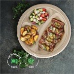 Eco-Friendly 3-Compartment Disposable Paper Plates - 125 Pack