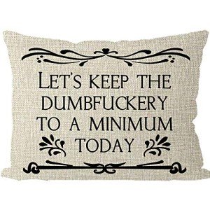 Funny 'Keep the Dumbfuckery Minimum' Pillow Cover