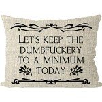 Funny 'Keep the Dumbfuckery Minimum' Pillow Cover