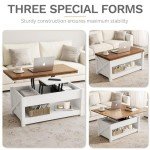 Stylish Lifting Top Coffee Table with Storage