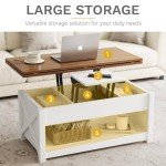 Stylish Lifting Top Coffee Table with Storage