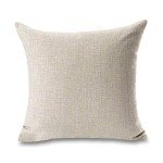 Rustic Beer Quote Throw Pillow Cover 18x18