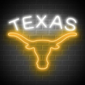 Texas Longhorn Neon Sign for Man Cave Decor