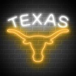 Texas Longhorn Neon Sign for Man Cave Decor
